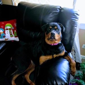 Meet your Posher, Amanda